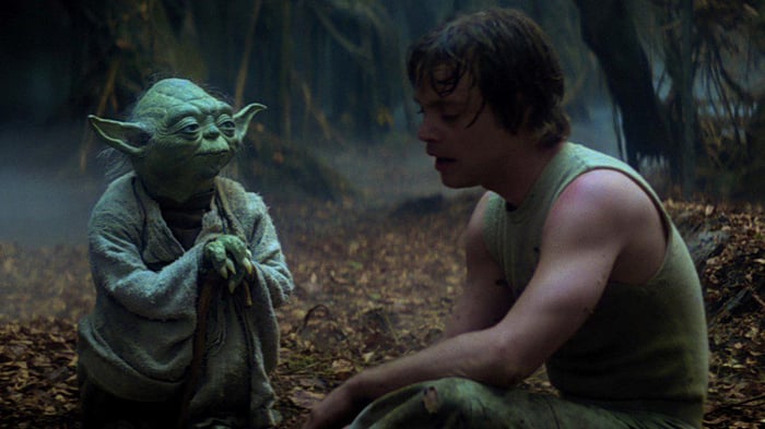 Never underestimate the importance of staff training Pick a good trainer